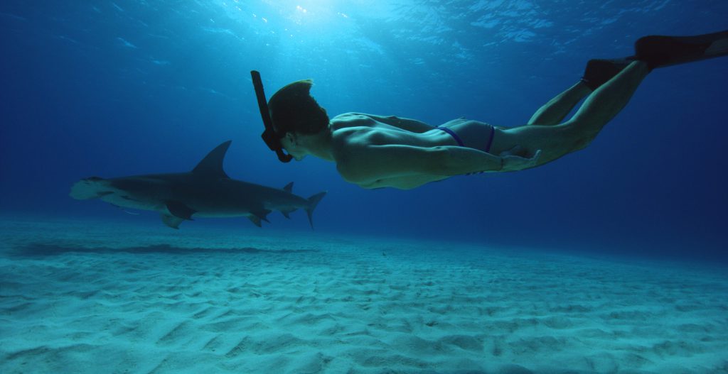 REVIEW: Sharkwater sequel leaves lasting legacy for&nbsp;filmmaker