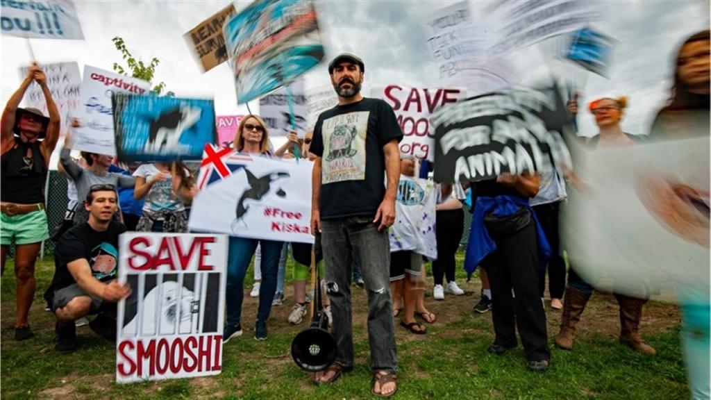 FIN STREAM REVIEW: Walrus & The Whistleblower a heart-wrenching&nbsp;doc