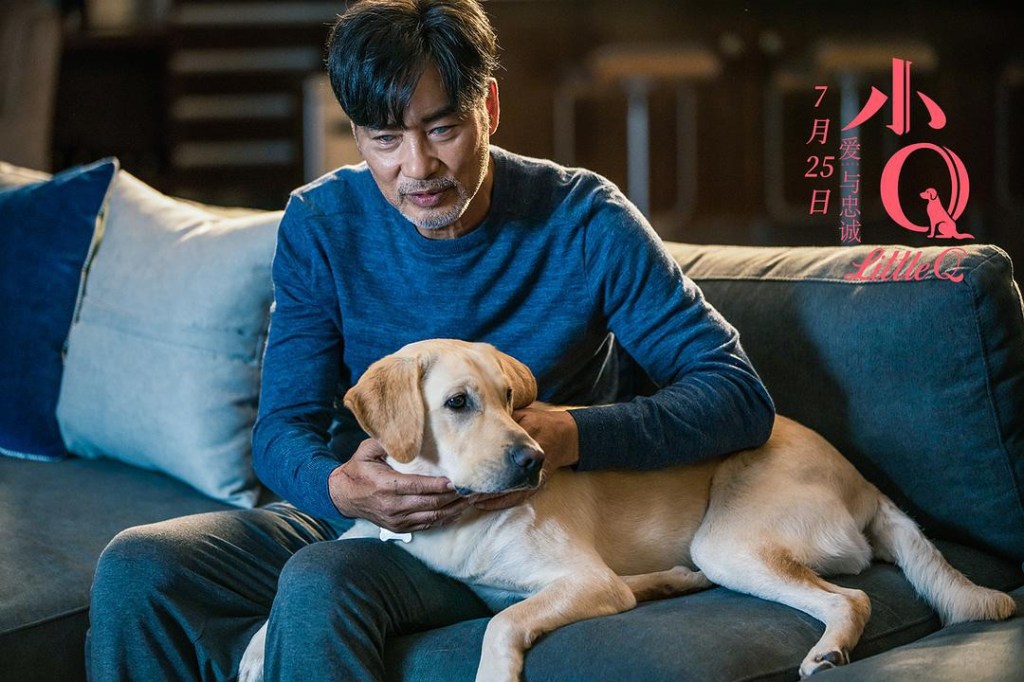 BLURAY REVIEW: Adorable, affecting Little Q a dramatic&nbsp;triumph