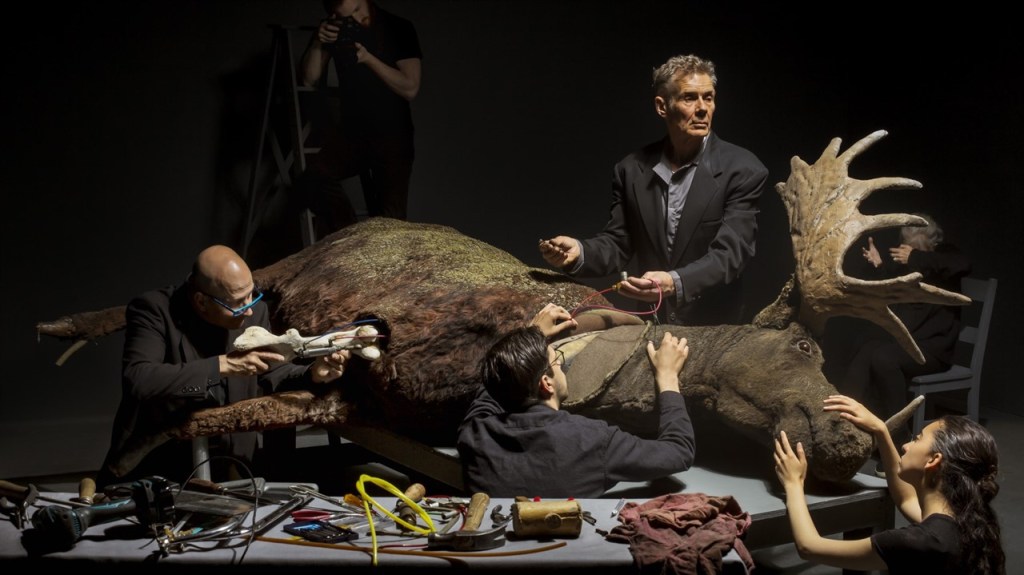 FIN REVIEW: Still Max an intimate look into an incredible&nbsp;artist